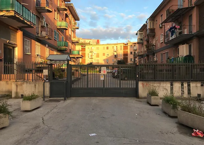 Cassiodoro 8